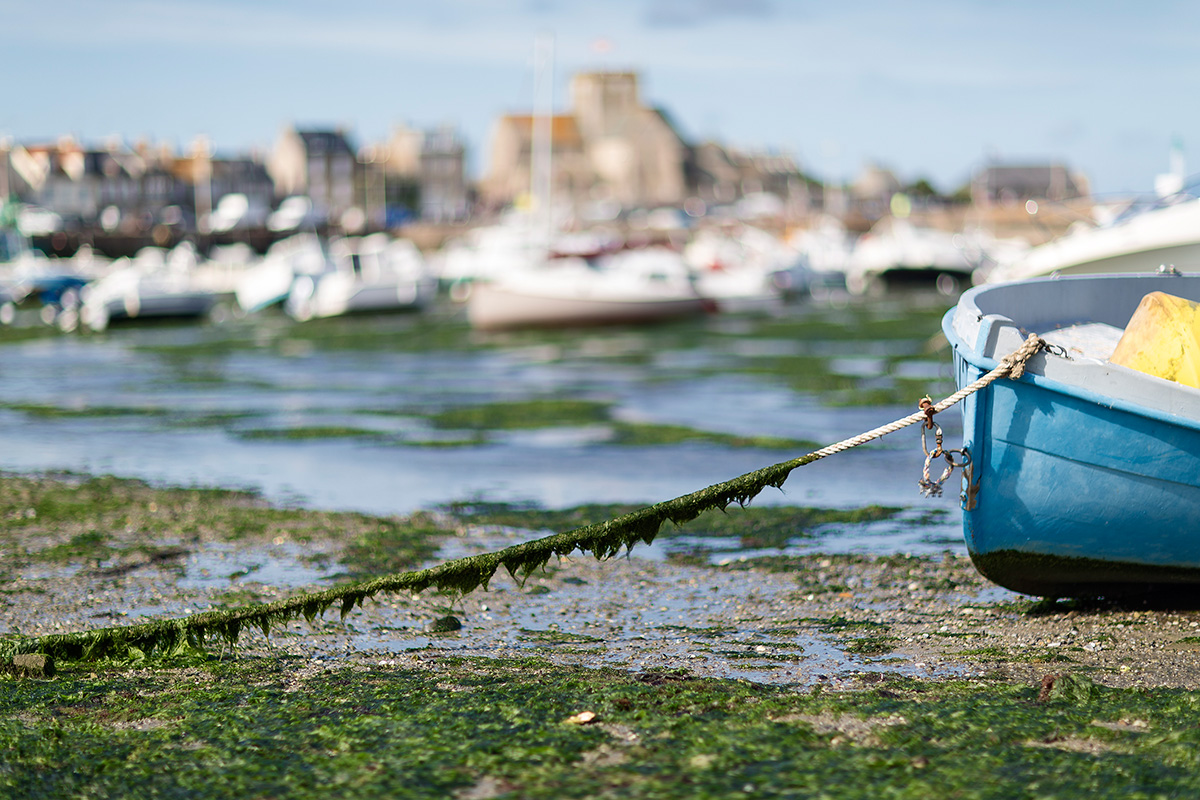 Landschaftsfotografie, Regionalporträt: Boot im Hafen von Barfleur, Normandie | Foto: Dieter Eikenberg, imprints