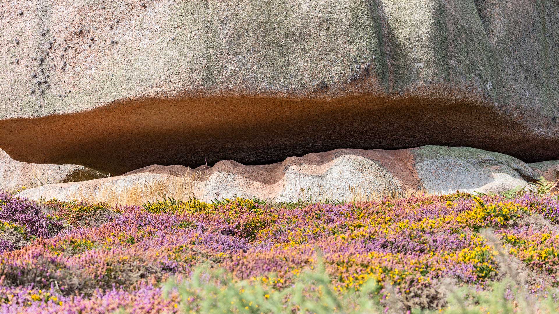Landschaftsfotografie: Côte de Granit Rose | Foto: Dieter Eikenberg, imprints