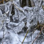 Eiskunst am Wegesrand (Feenhöhe, Harz)