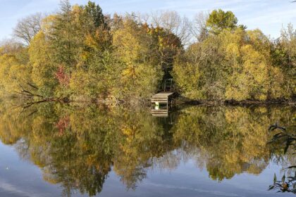 Herbst 2024 am Oderparksee