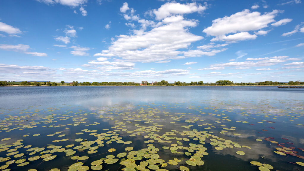 Blick über den Seeburger See