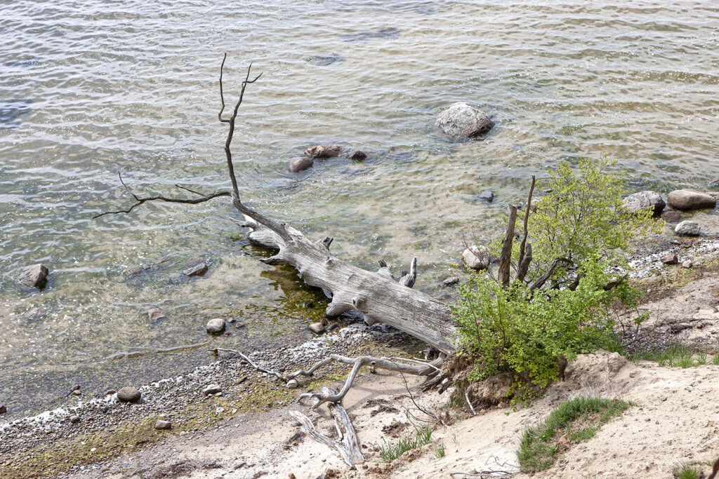 Insel Vilm - Kochufer