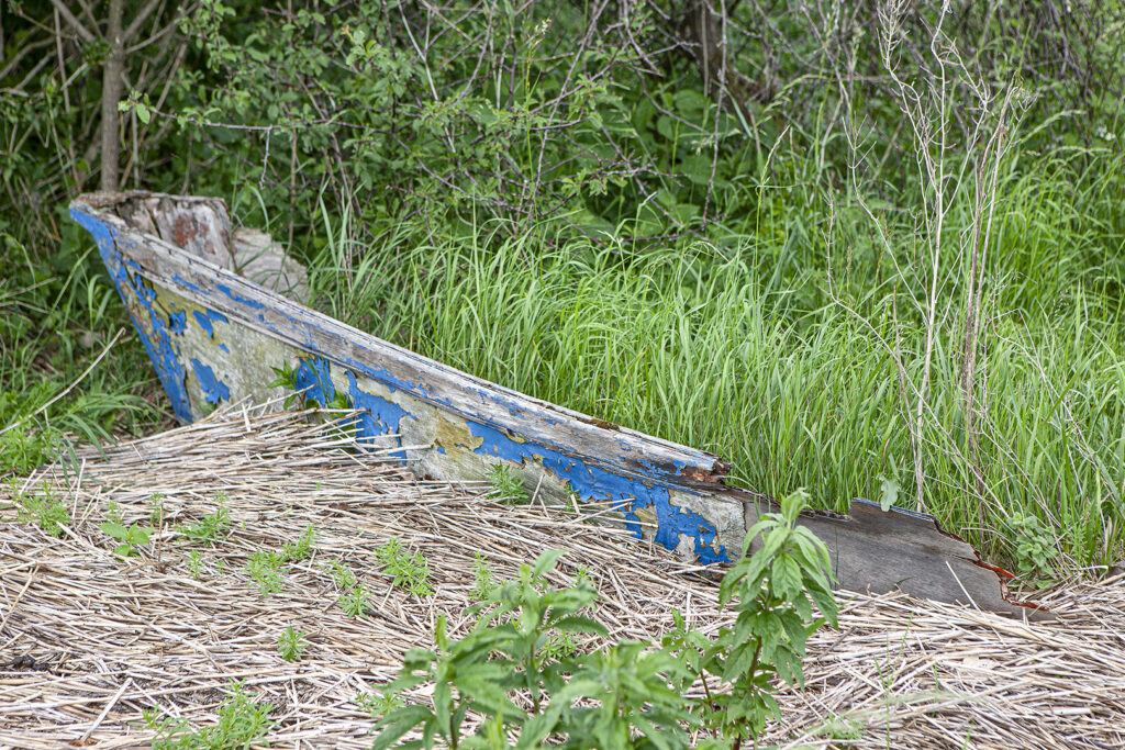 Altes Boot auf dem Weg zurück zur Natur