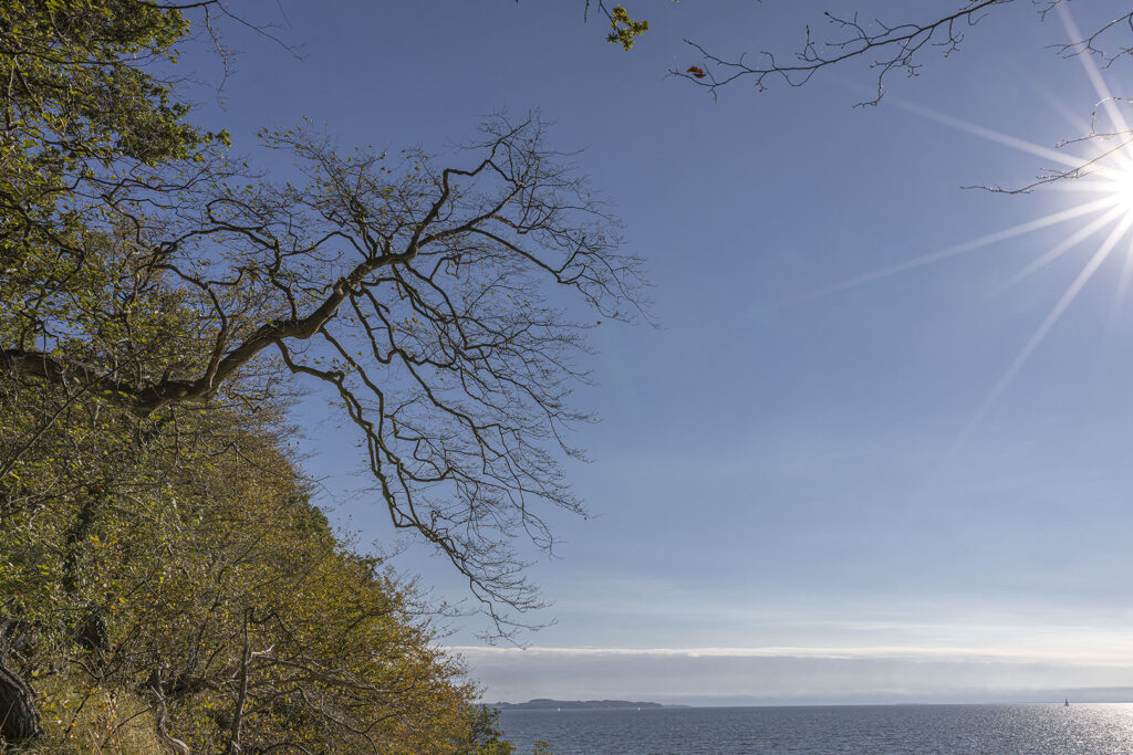 Insel Vilm - Kochufer