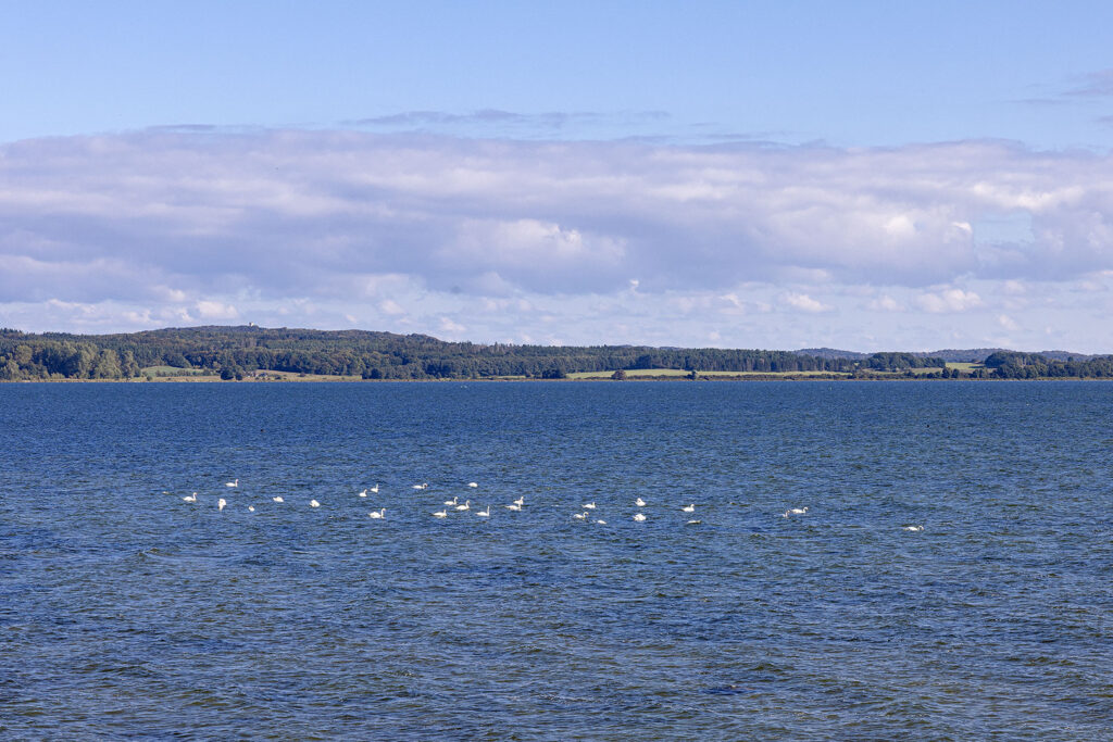 Boddenblick