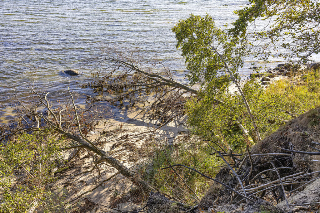 Insel Vilm - Kochufer