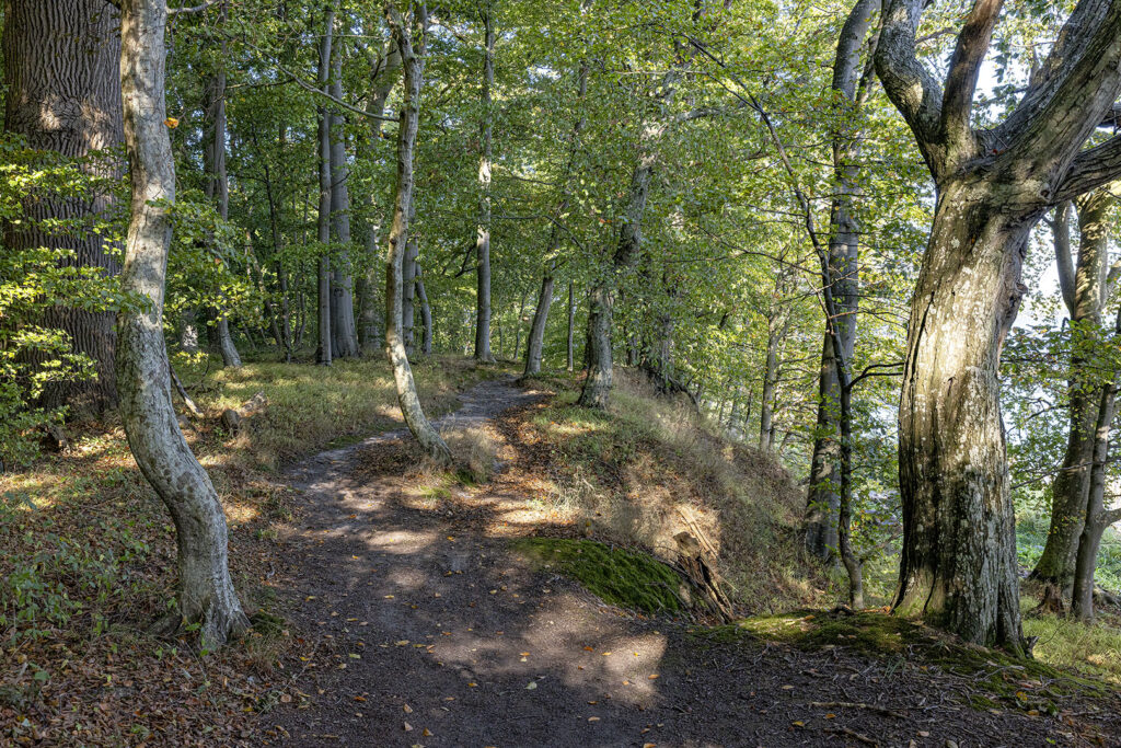 Insel Vilm - Wanderpfad