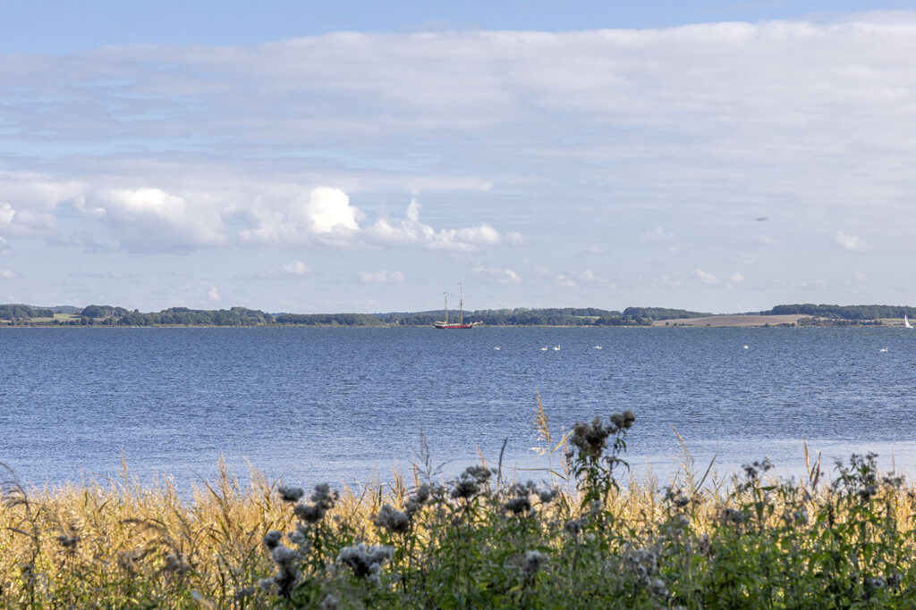 Boddenblick