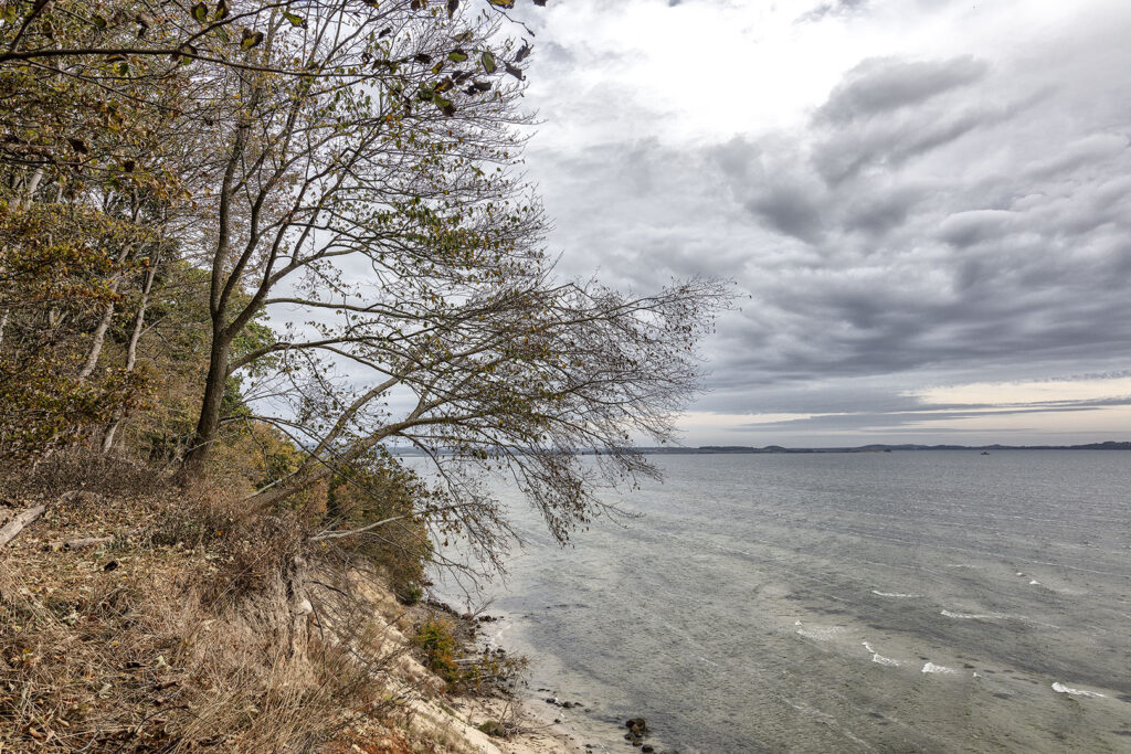 Insel Film - Kochufer
