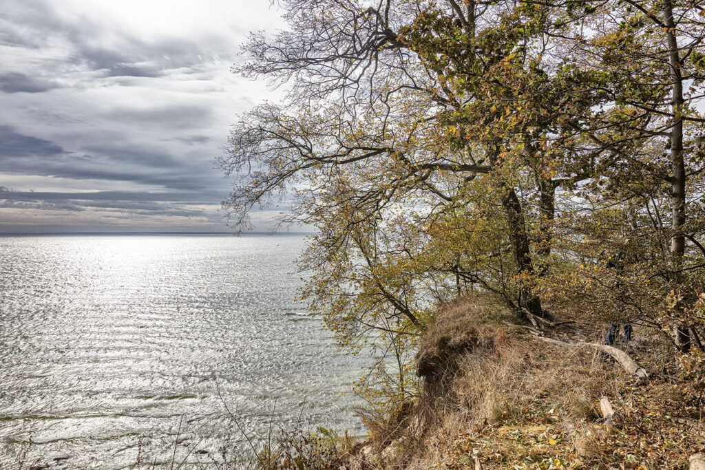 Insel Film - Kochufer
