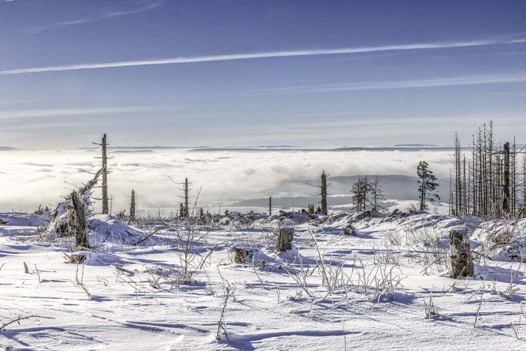 Schneelandschaft über den Wolken - Westharz