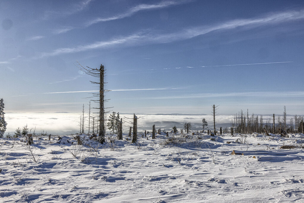 Schneelandschaft über den Wolken - Westharz