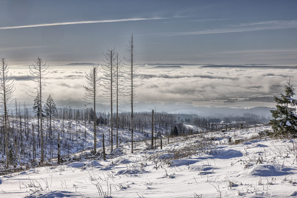 Schneelandschaft über den Wolken - Westharz
