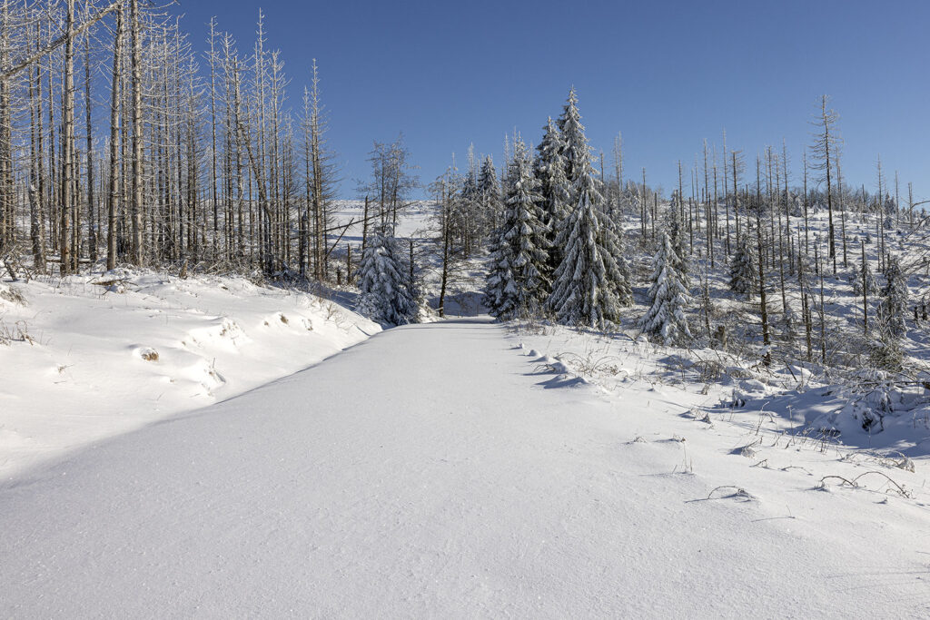 Schneelandschaft über den Wolken - Westharz