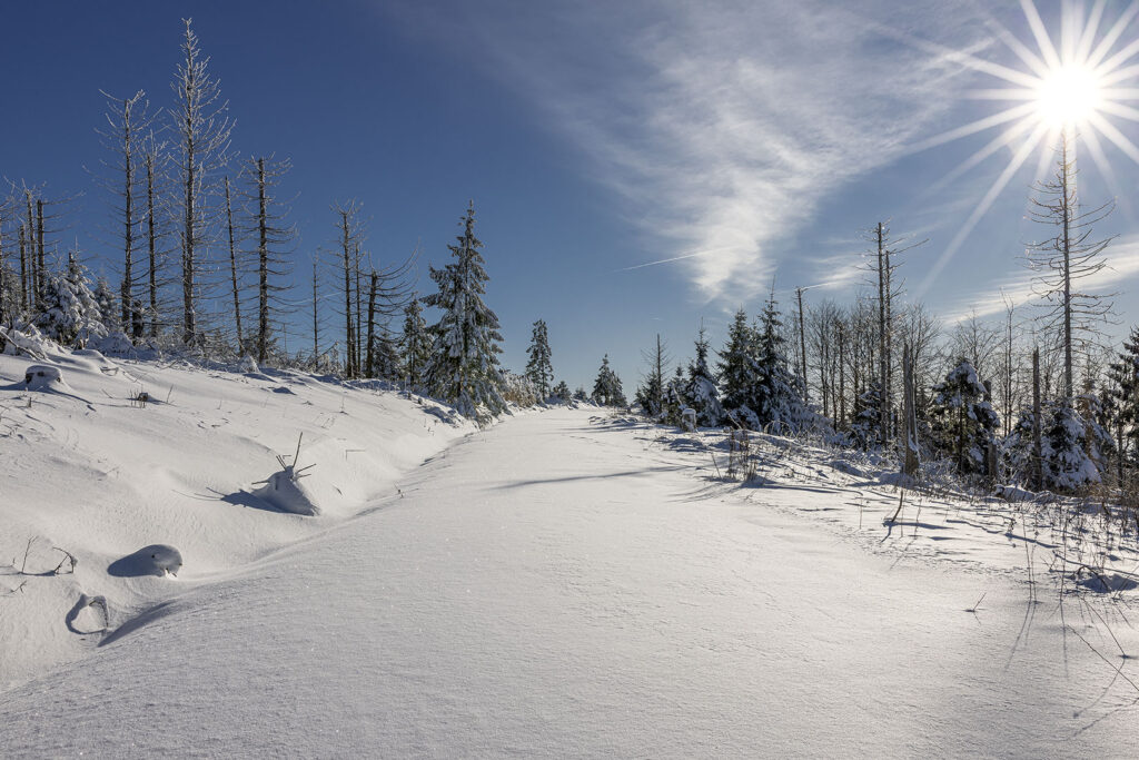 Schneelandschaft über den Wolken - Westharz