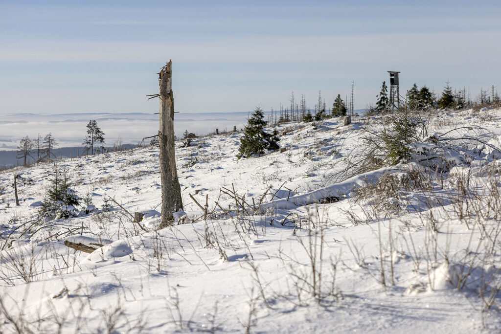 Schneelandschaft über den Wolken - Westharz
