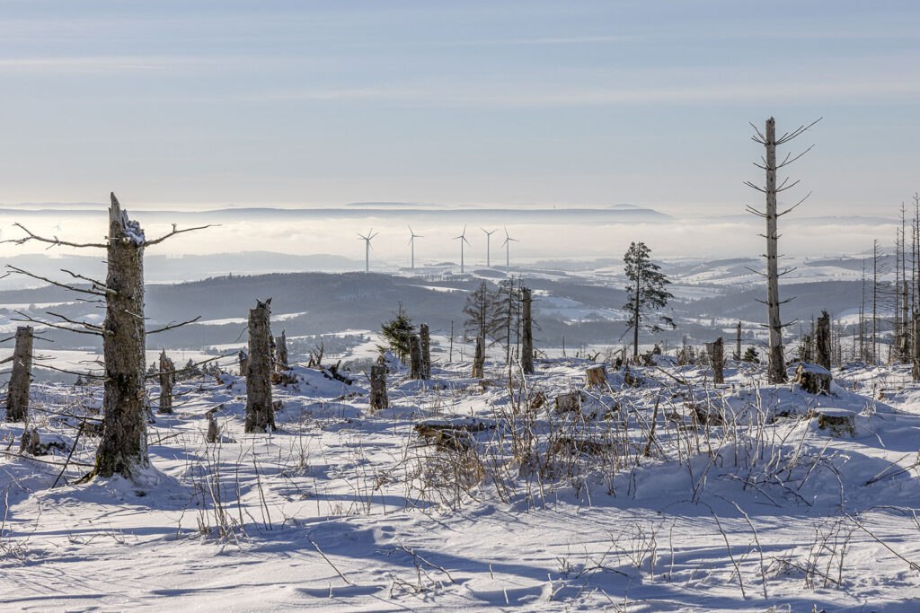 Schneelandschaft über den Wolken - Westharz