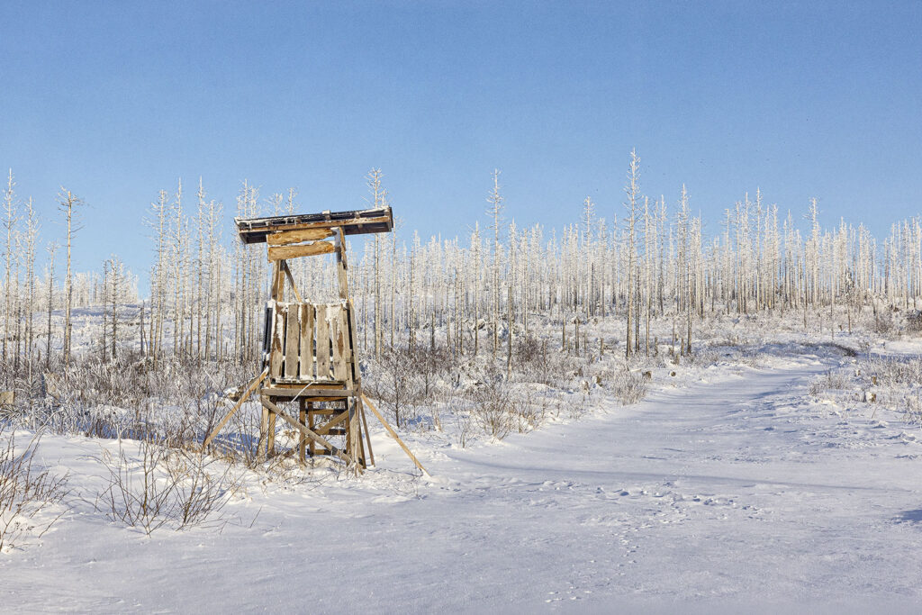 Hochsitz im Westharz