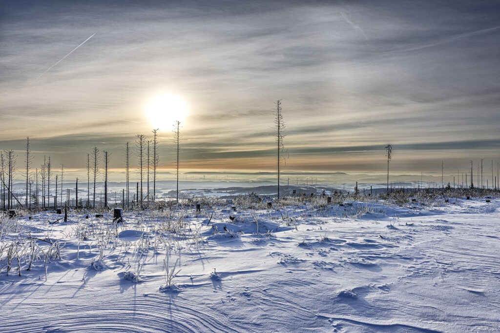 Harzer Schneelandschaft im Abendlicht
