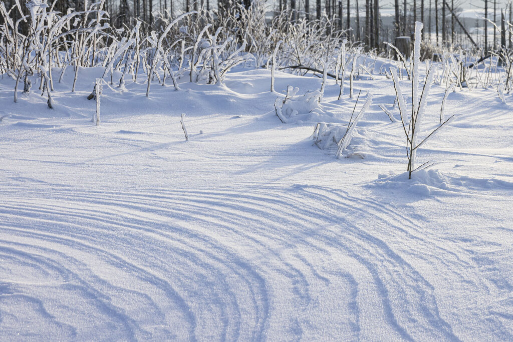 Harzer Schneelandschaft im Abendlicht