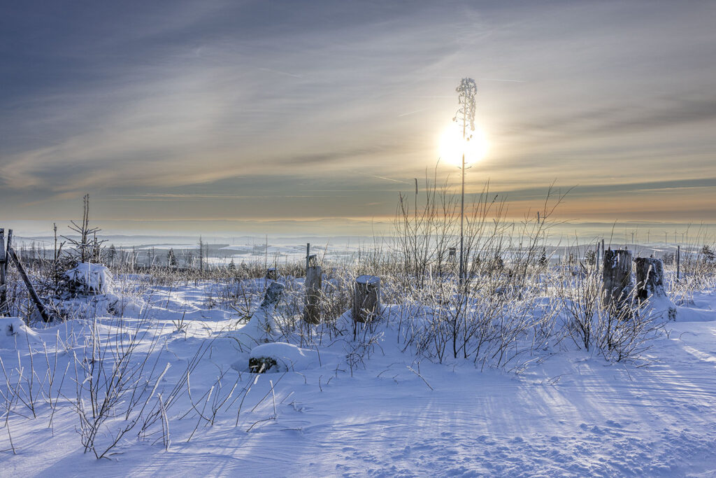 Harzer Schneelandschaft im Abendlicht