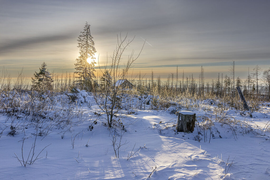 Hütte im Abendlicht