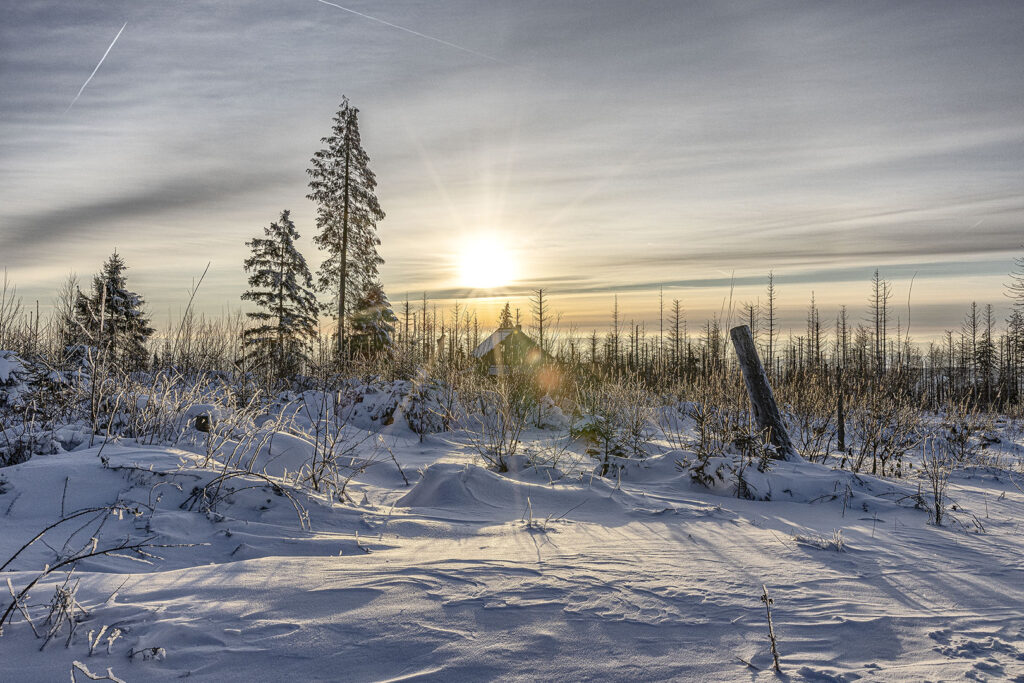 Harzer Schneelandschaft im Abendlicht