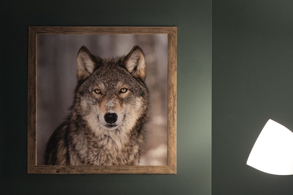 Räume und Einrichtungen - Apartments Göttingen