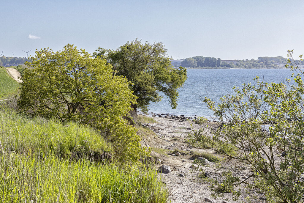 Lübecker Bucht bei Sierksdorf